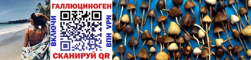 Псилоцибиновые грибы ЛСД Новый Оскол